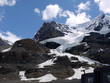 Snow Dome Glacier Jasper Canada