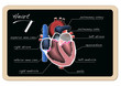 Corazon 4