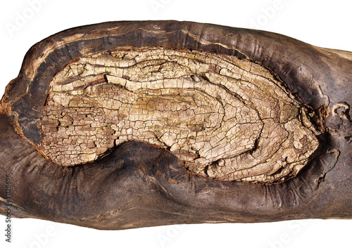 Foto: Altes Holz Altes Holz