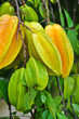 Star fruit