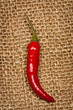 Red pepper on a piece of canvas