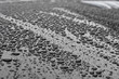 perlende Wassertropfen Lack schwarz querformat
