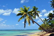 Las Terrenas