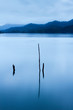 Tranquil Lake