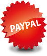 Button Rund Paypal Pay Pal