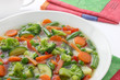 Diet soup with fresh vegetables