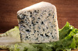 bleu d'Auvergne