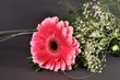 Blume