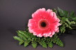 Blume