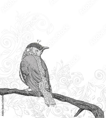 Vector: Hand Drawn Bird on Branch. Hand Drawn Bird on Branch.