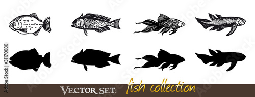 Vector: Vector set: Fish collection Vector set: Fish collection
