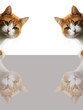 Getigerte Katze