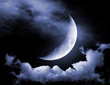 Half of moon in the night black sky