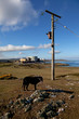 Wylva Head and nuclear power station