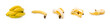 collection of banana