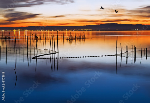 Photo: los patos y el lago los patos y el lago