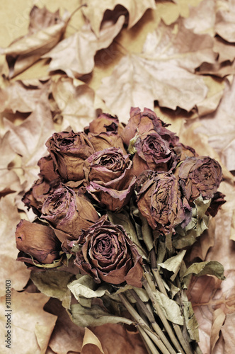 Photo: dried roses dried roses