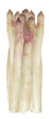 Violetter Blechspargel
