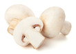 Champignon mushrooms on white backround