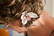 orchid curly hair orchid curly hair