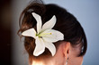 white lily flower in brown up do hair white lily flower in brown up do hair