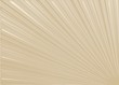 Raggi Astratti Fondo-Abstract Rays Background-Vector