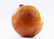 cipolla