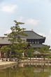 鏡池からみた大仏殿