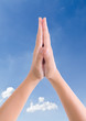 put hands together in salute