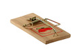 Isolated mouse trap