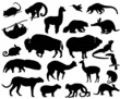 Vector: Animals of North and South America Animals of North and South America