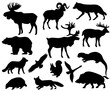 Animals of Europe