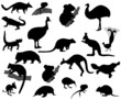 Vector: Animals of Australia Animals of Australia