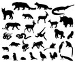 Animals of Asia