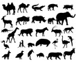 Animals of Africa