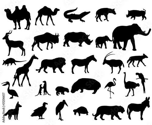 Vector: Animals of Africa Animals of Africa
