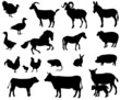 Farm animals