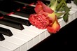 Rosenwalzer