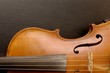 violine
