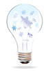 the bulb with fly snowlakes
