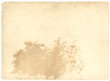 Old picture Paper