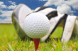 Golf Ball Golf Ball