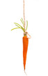 Hanging Carrot on White Background Hanging Carrot on White Background