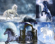 Unicorn collage