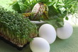 Zubereitung Frankfurter Sosse Salsa Verde Zutaten Serie1