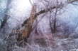 Winterimpression