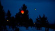 Candle lantern floating up into the air