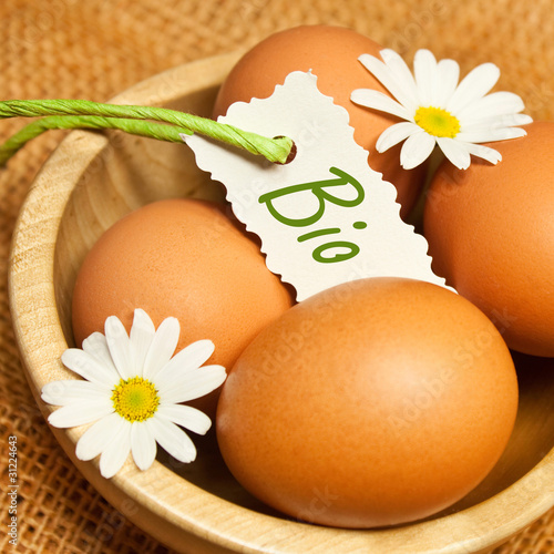 Foto: Bio - Eier Bio - Eier