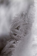 Frosty pattern