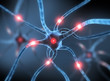 Neuronale Zellen